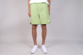 Stussy Stock Water Short lime