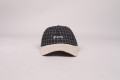 Stussy Check Suede Low Cap