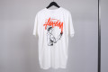 Stussy Painter Pig Dyed Tee natural